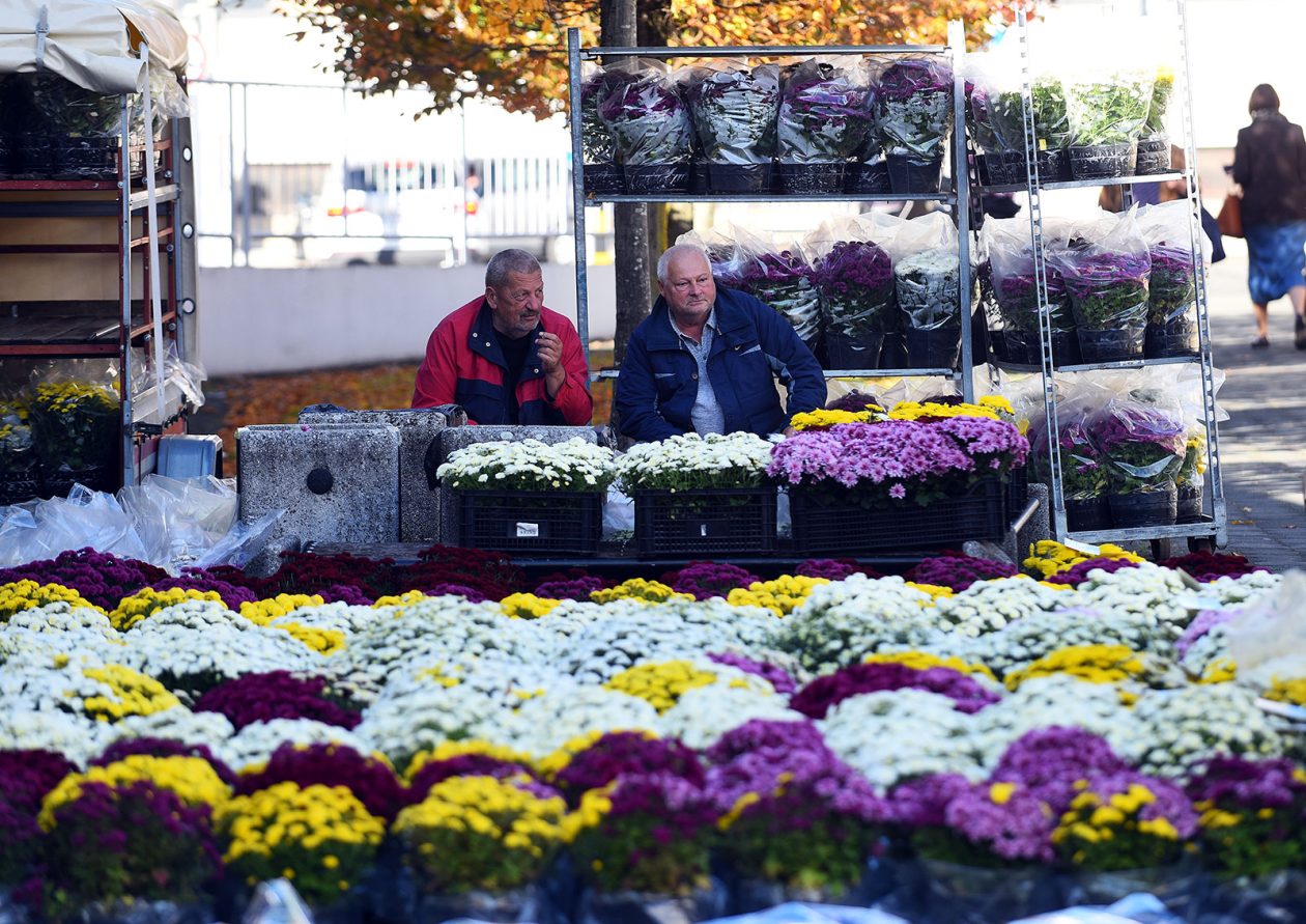 sisvete (14) sisvete (14)