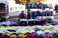 sisvete (14) sisvete (14)