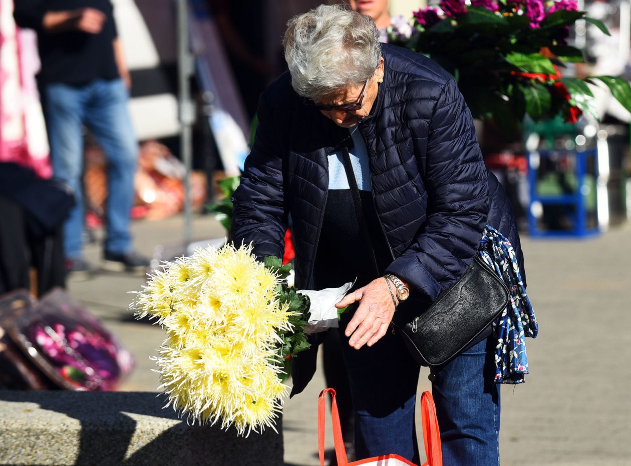 sisvete (15) sisvete (15)