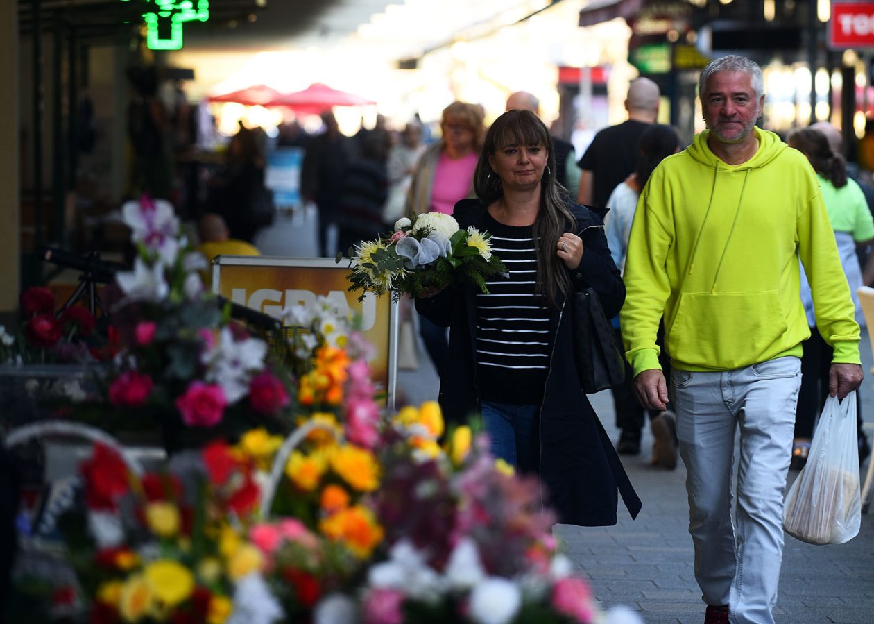 sisvete (17) sisvete (17)