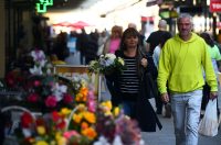 sisvete (17) sisvete (17)