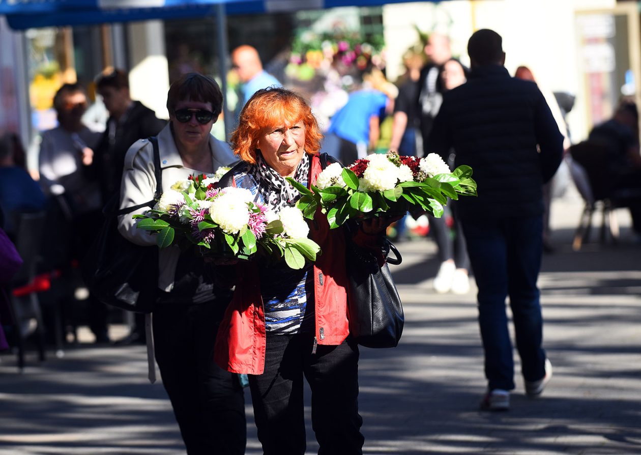 sisvete (18) sisvete (18)