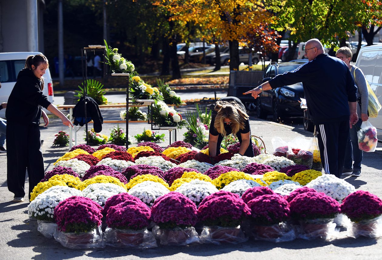 sisvete (19) sisvete (19)