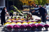 sisvete (19) sisvete (19)