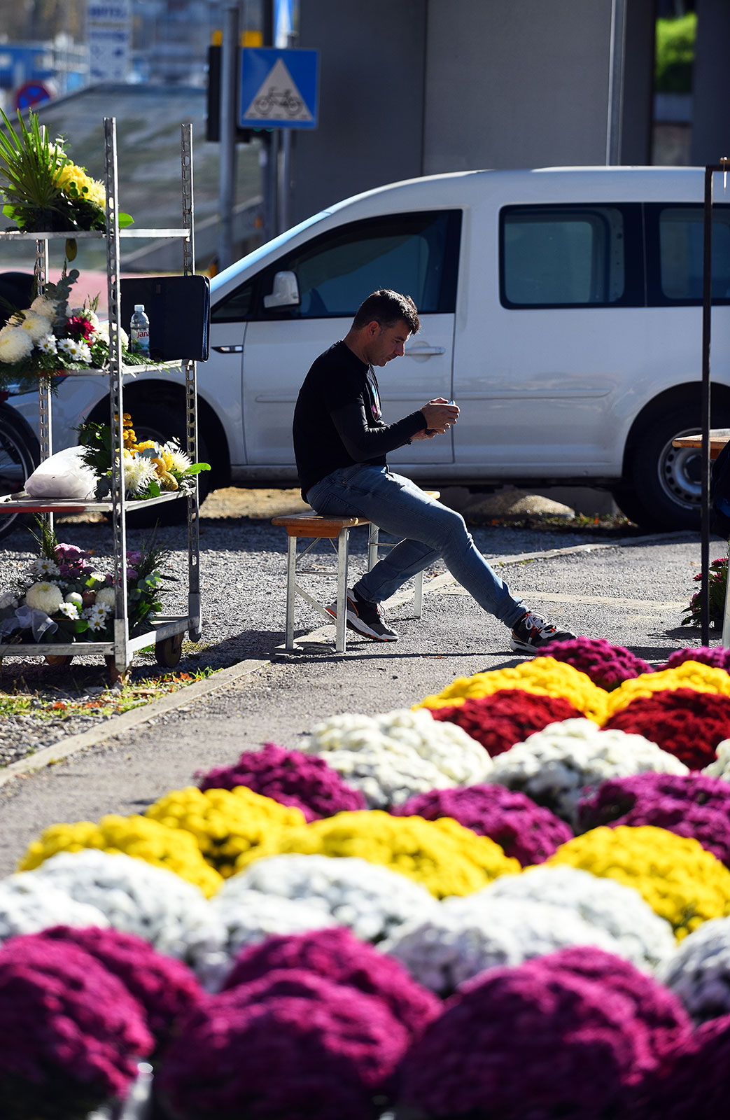 sisvete (20) sisvete (20)