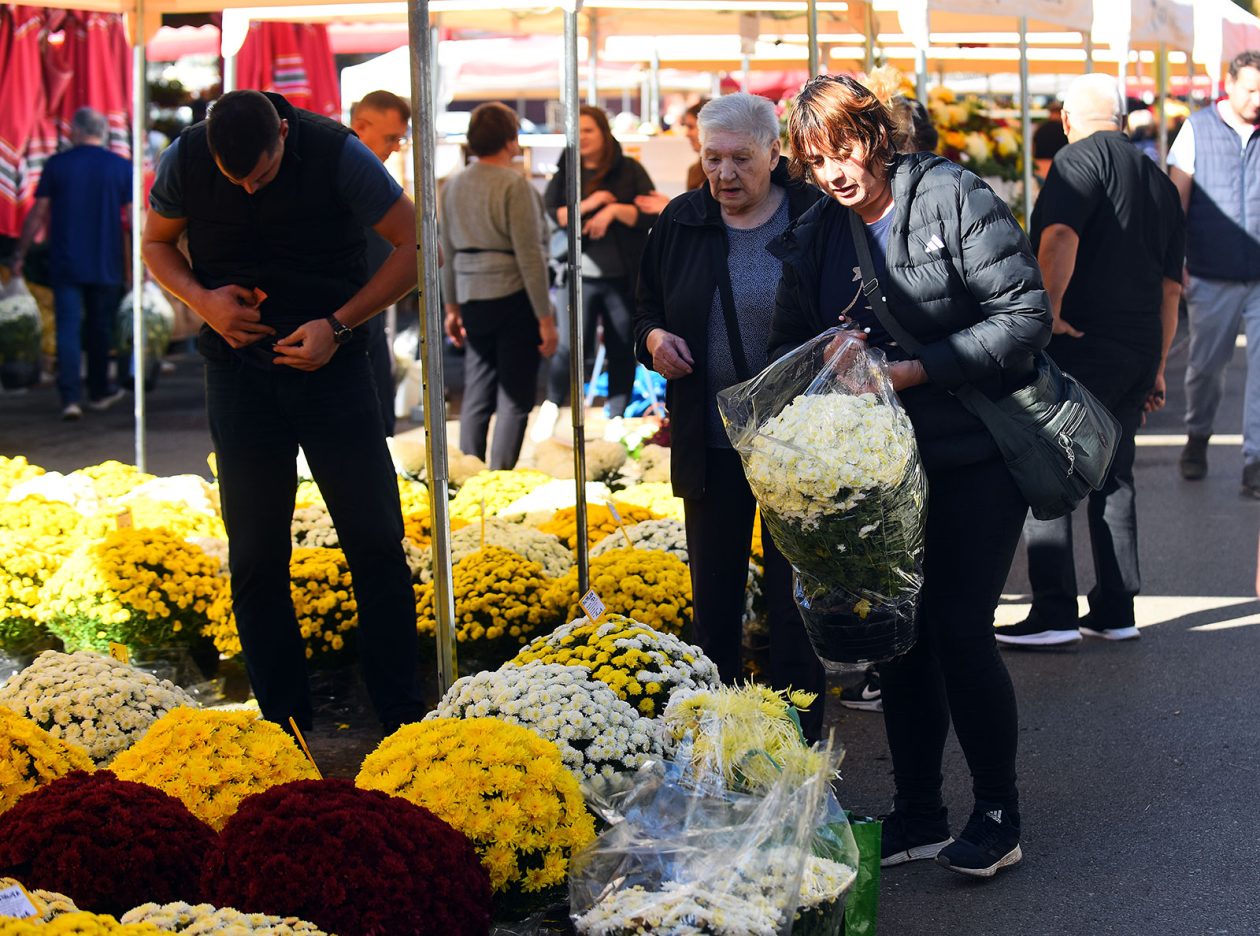 sisvete (21) sisvete (21)