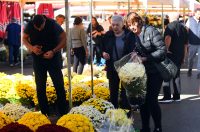 sisvete (21) sisvete (21)