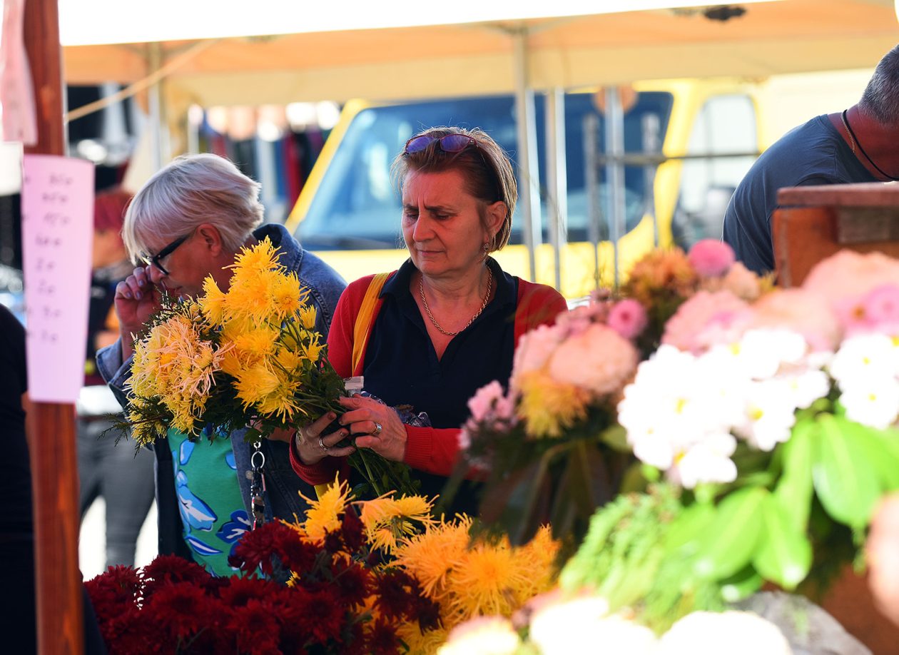 sisvete (22) sisvete (22)