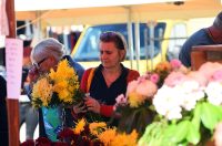 sisvete (22) sisvete (22)