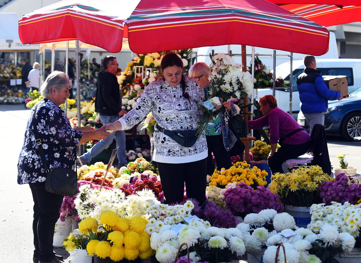 sisvete (23) sisvete (23)