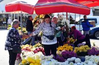 sisvete (23) sisvete (23)