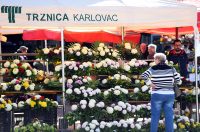 sisvete (24) sisvete (24)