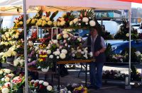 sisvete (25) sisvete (25)