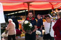 sisvete (26) sisvete (26)