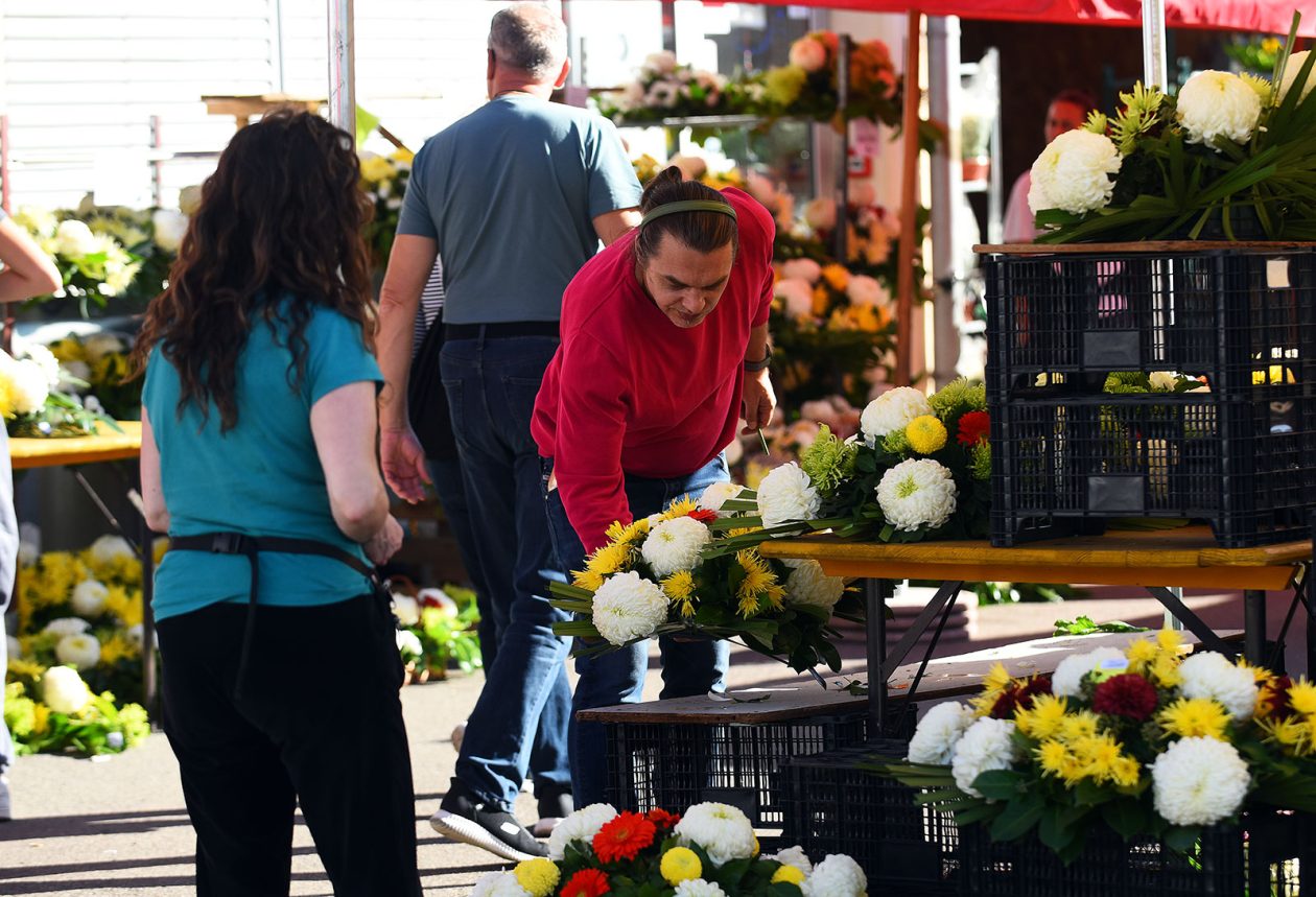 sisvete (27) sisvete (27)