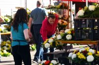 sisvete (27) sisvete (27)