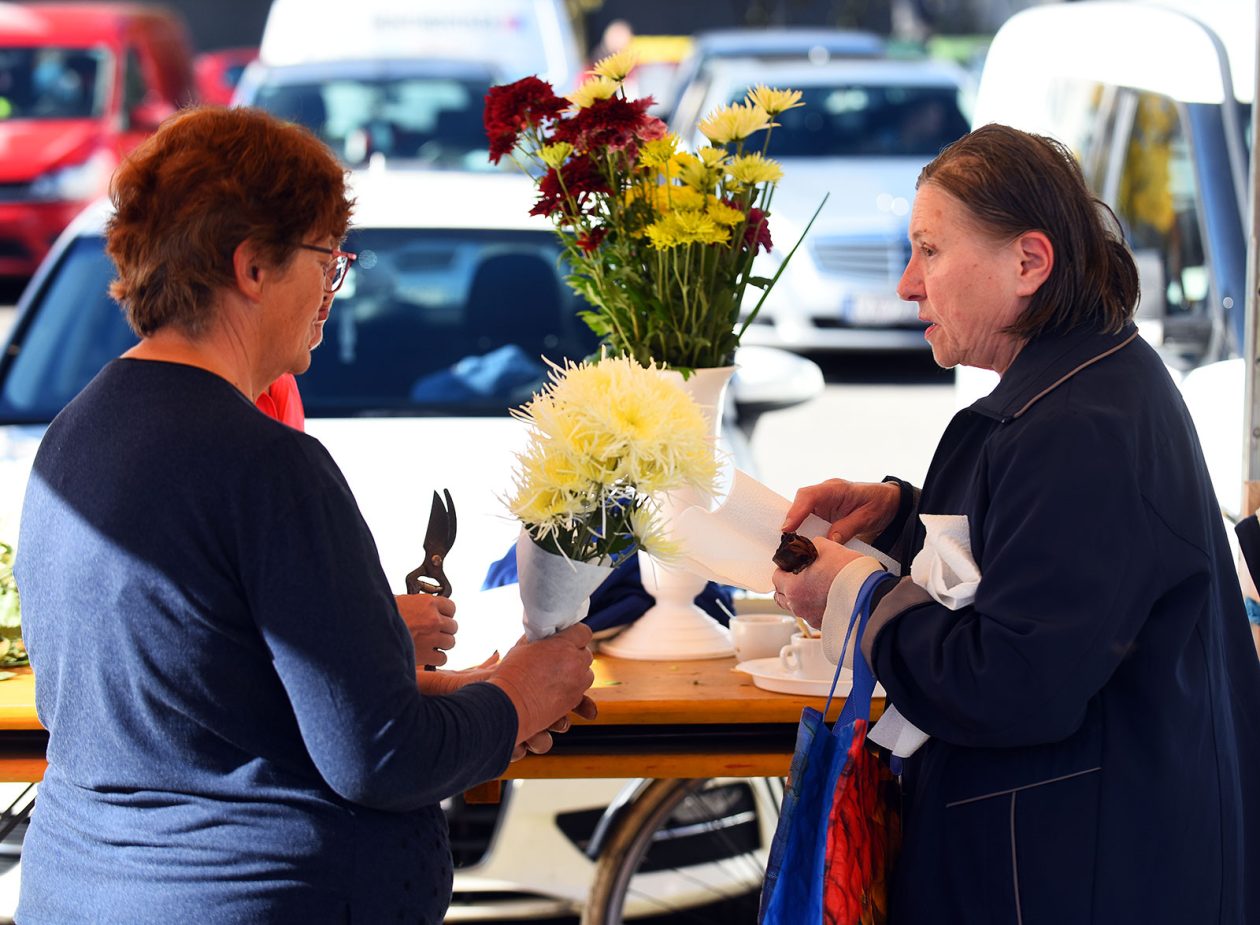 sisvete (28) sisvete (28)