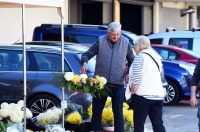 sisvete (29) sisvete (29)