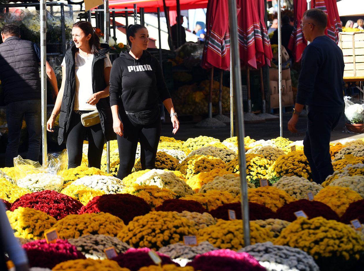 sisvete (3) sisvete (3)