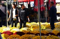 sisvete (3) sisvete (3)