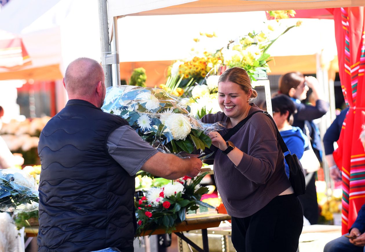 sisvete (30) sisvete (30)