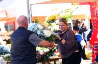 sisvete (30) sisvete (30)