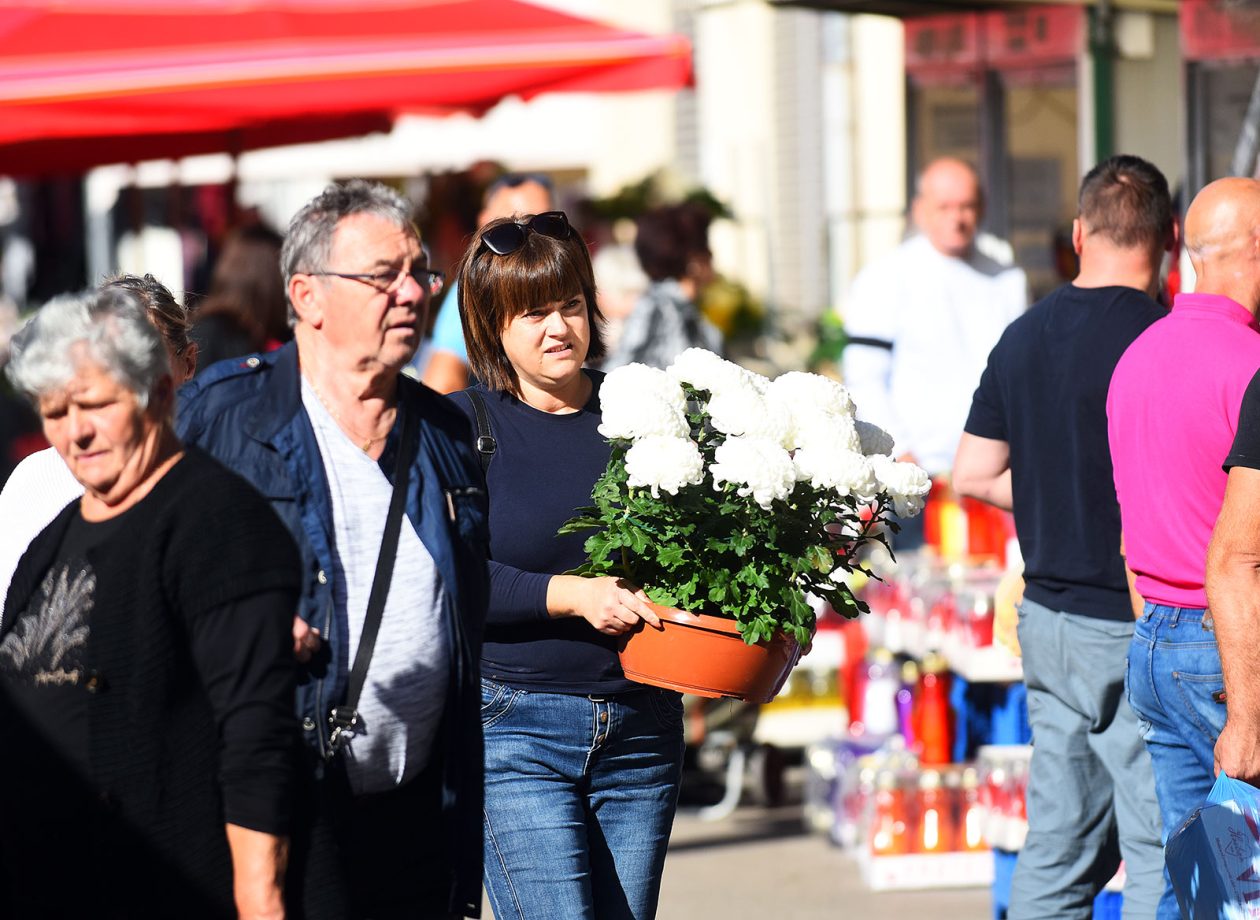 sisvete (31) sisvete (31)