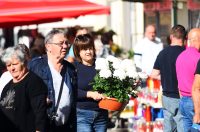 sisvete (31) sisvete (31)