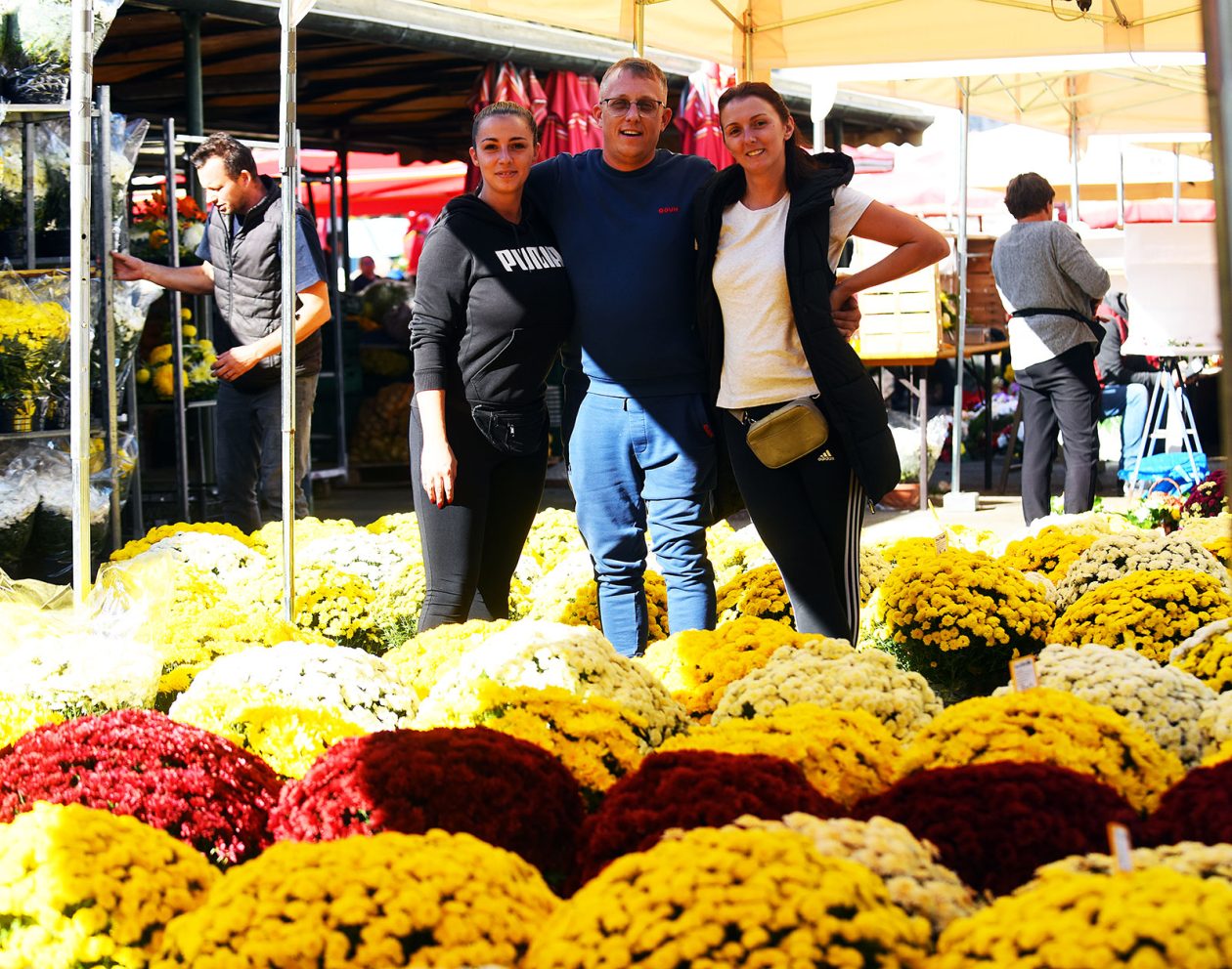 sisvete (4) sisvete (4)