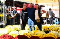 sisvete (4) sisvete (4)