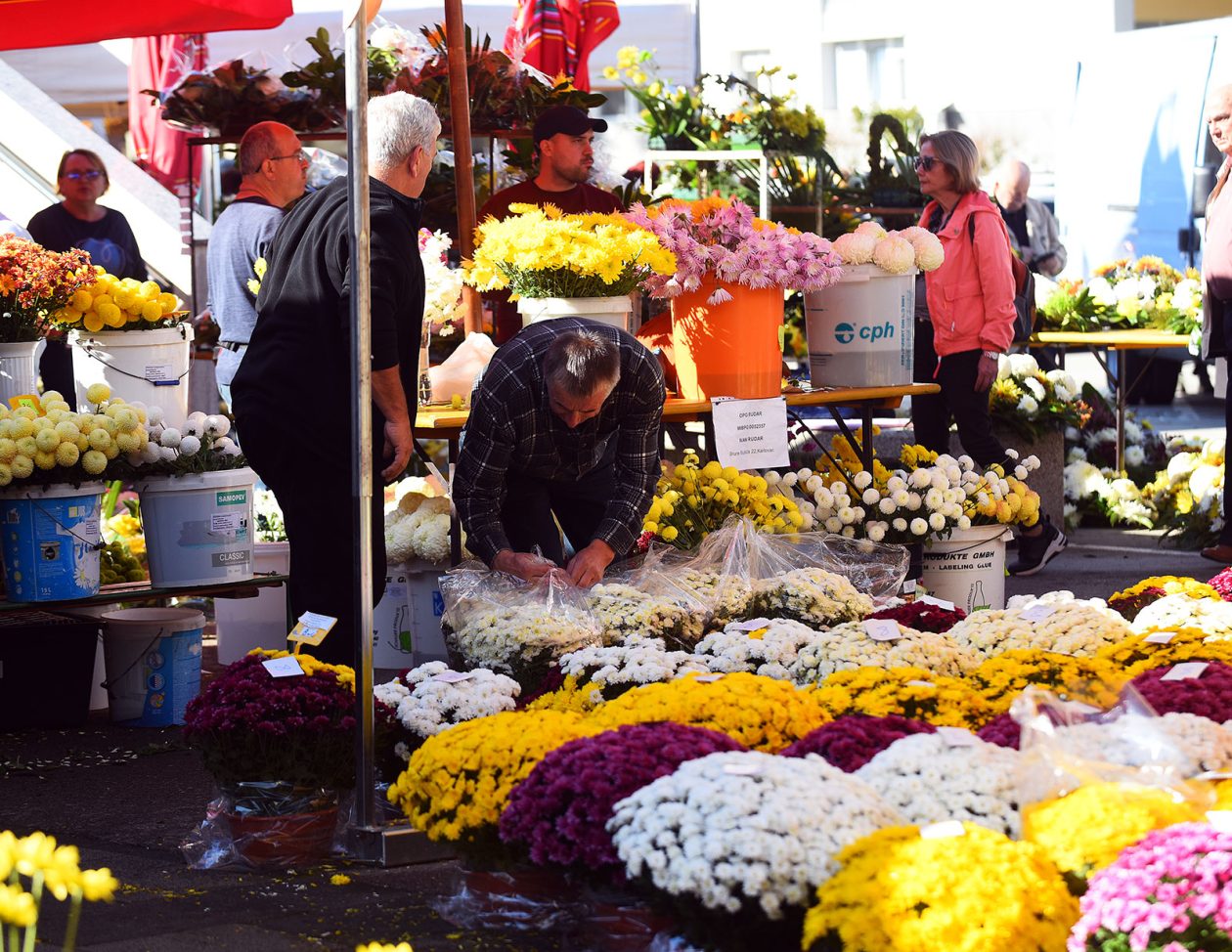 sisvete (5) sisvete (5)