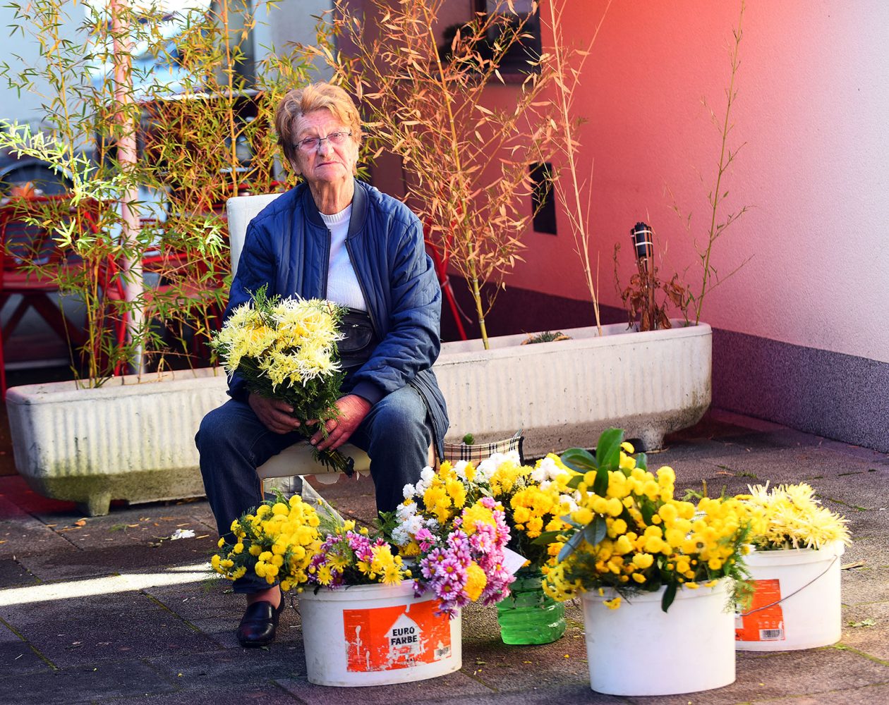 sisvete (6) sisvete (6)