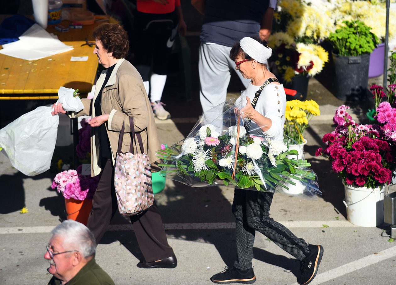 sisvete (8) sisvete (8)