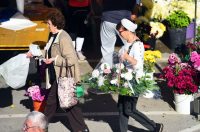 sisvete (8) sisvete (8)