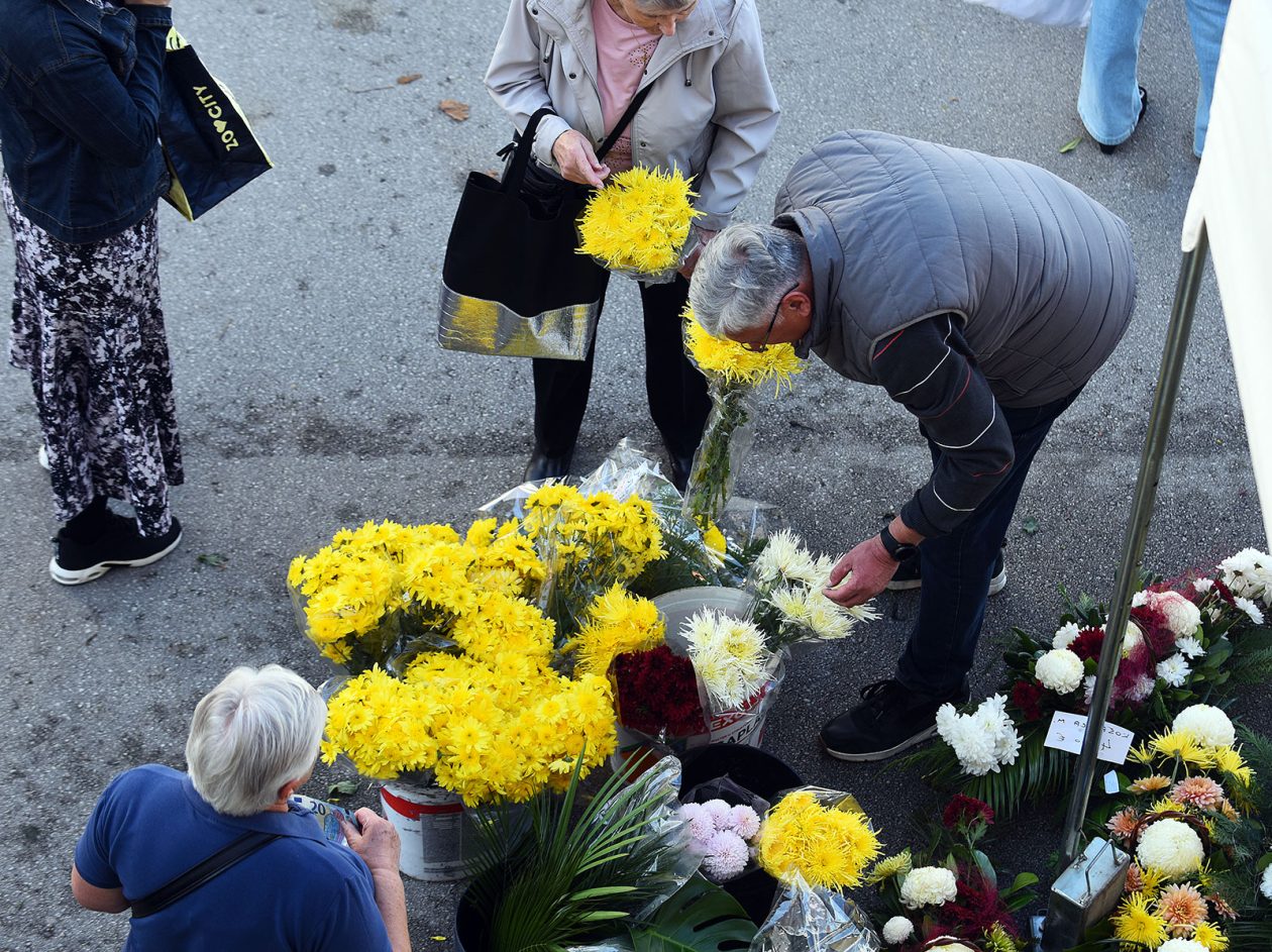 sisvete (9) sisvete (9)