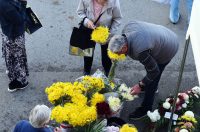 sisvete (9) sisvete (9)