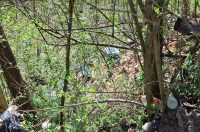 smece barilovic (10)