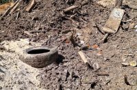 smece barilovic (11)