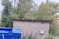 smece barilovic (22)