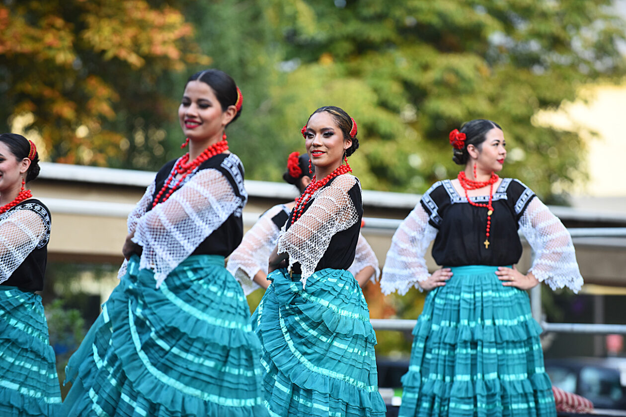 smotra folklora paragvaj (2)