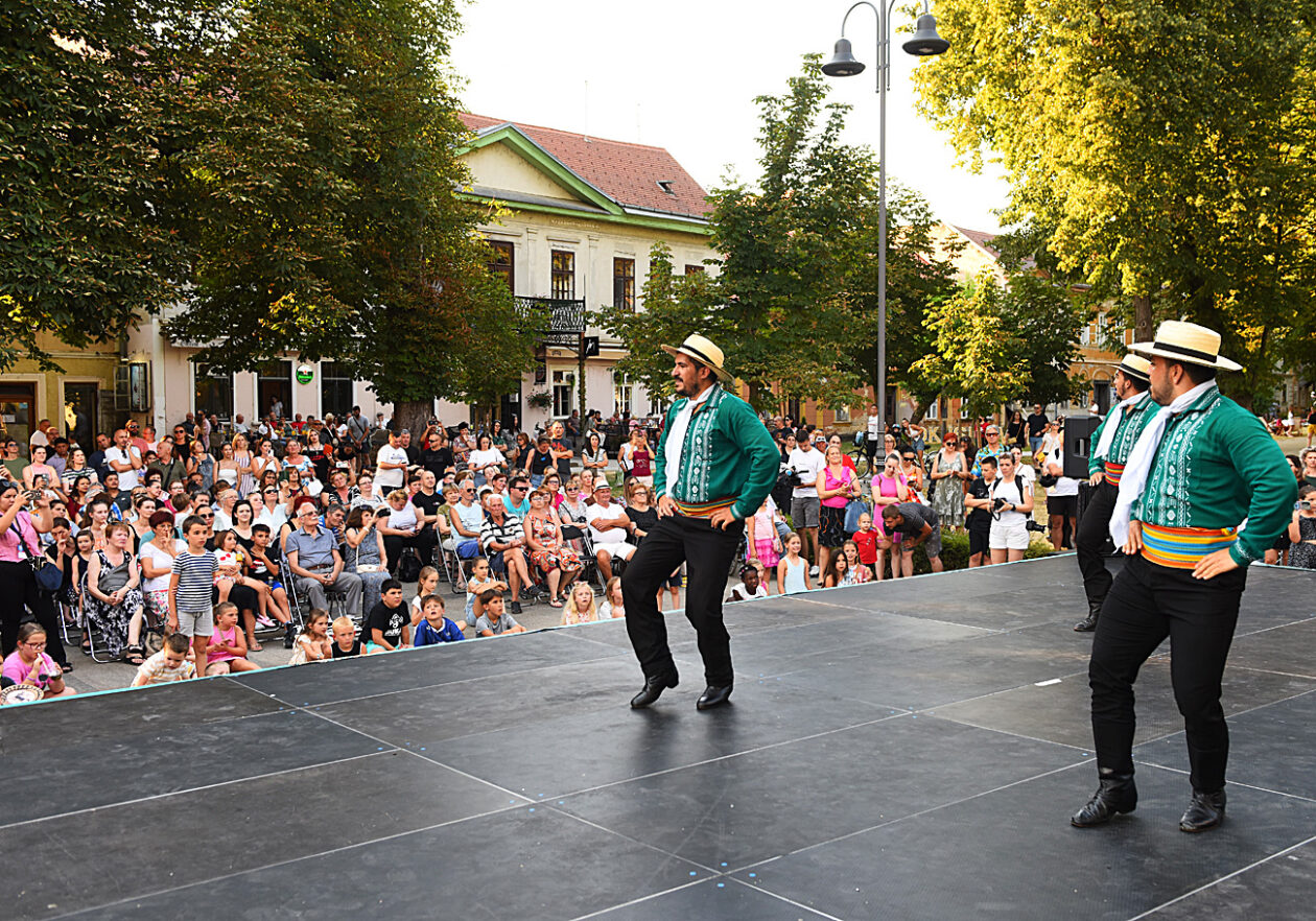 smotra folklora paragvaj (7)