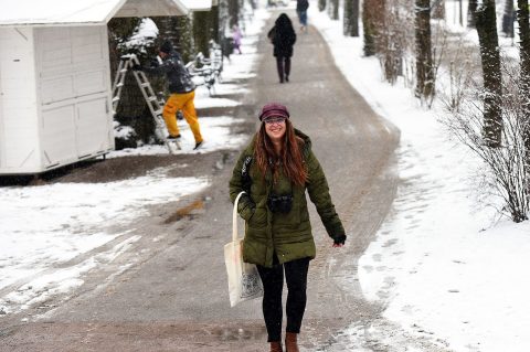 snijeg hladnoca zima (0)