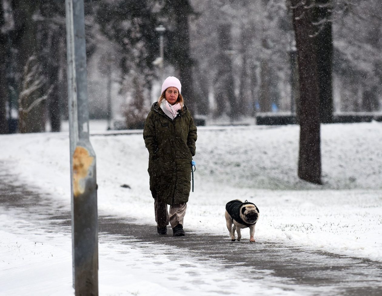 snijeg hladnoca zima (12)