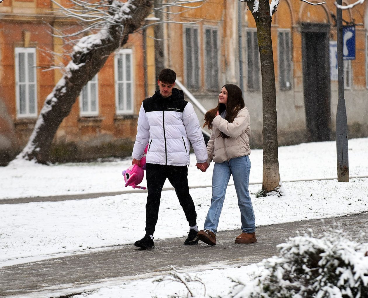 snijeg hladnoca zima (13)