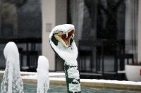 snijeg hladnoca zima (2)