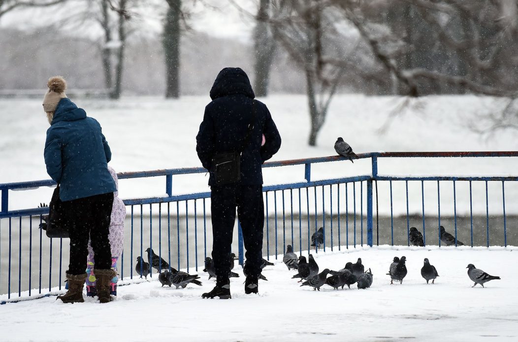 snijeg hladnoca zima (4)