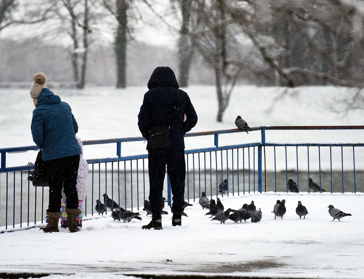 snijeg hladnoca zima (4)