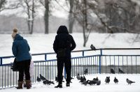 snijeg hladnoca zima (4)