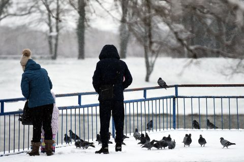 snijeg hladnoca zima (4)