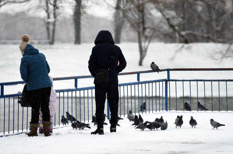 snijeg hladnoca zima (4)